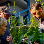 Kurz - Na škůdce biologicky